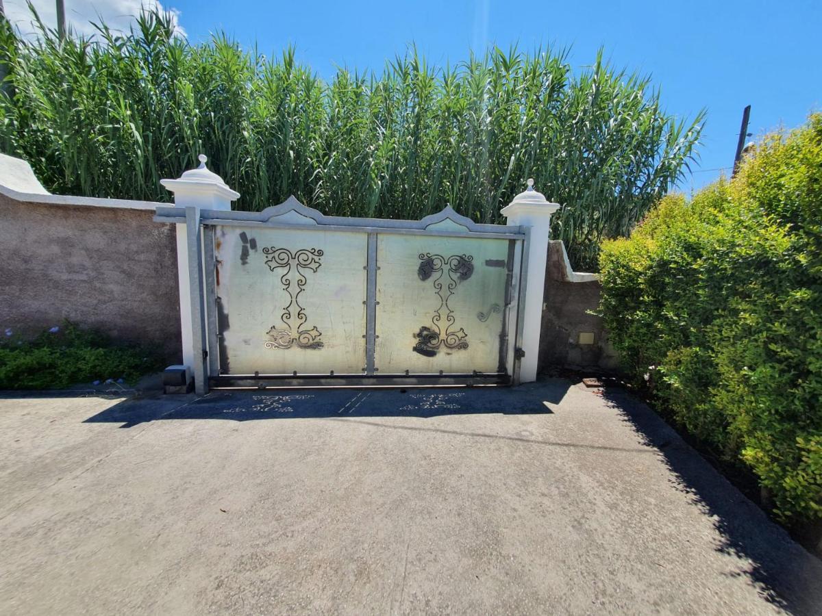 Exclusive Luxury Villa In Forio Forio  Exterior photo