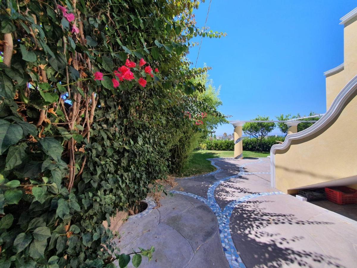 Exclusive Luxury Villa In Forio Forio  Exterior photo