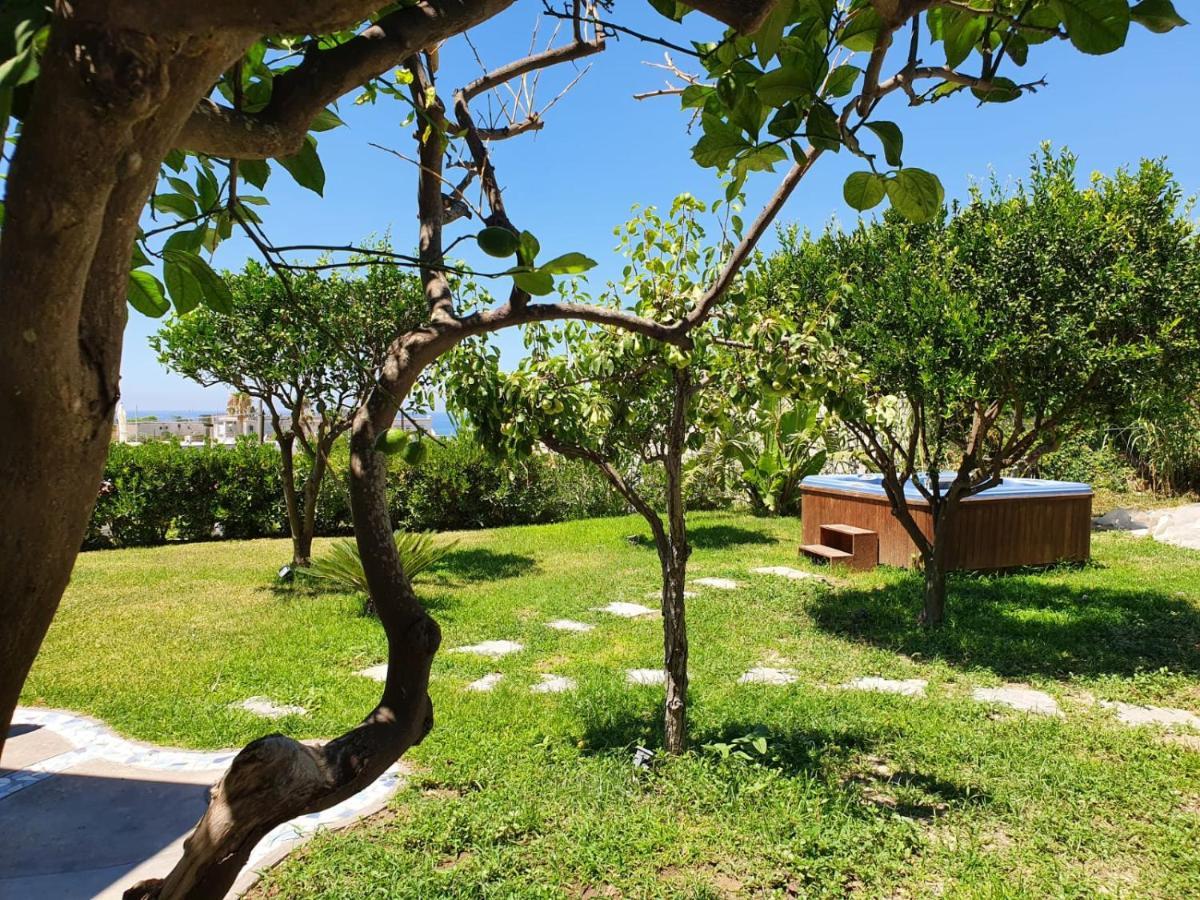 Exclusive Luxury Villa In Forio Forio  Exterior photo